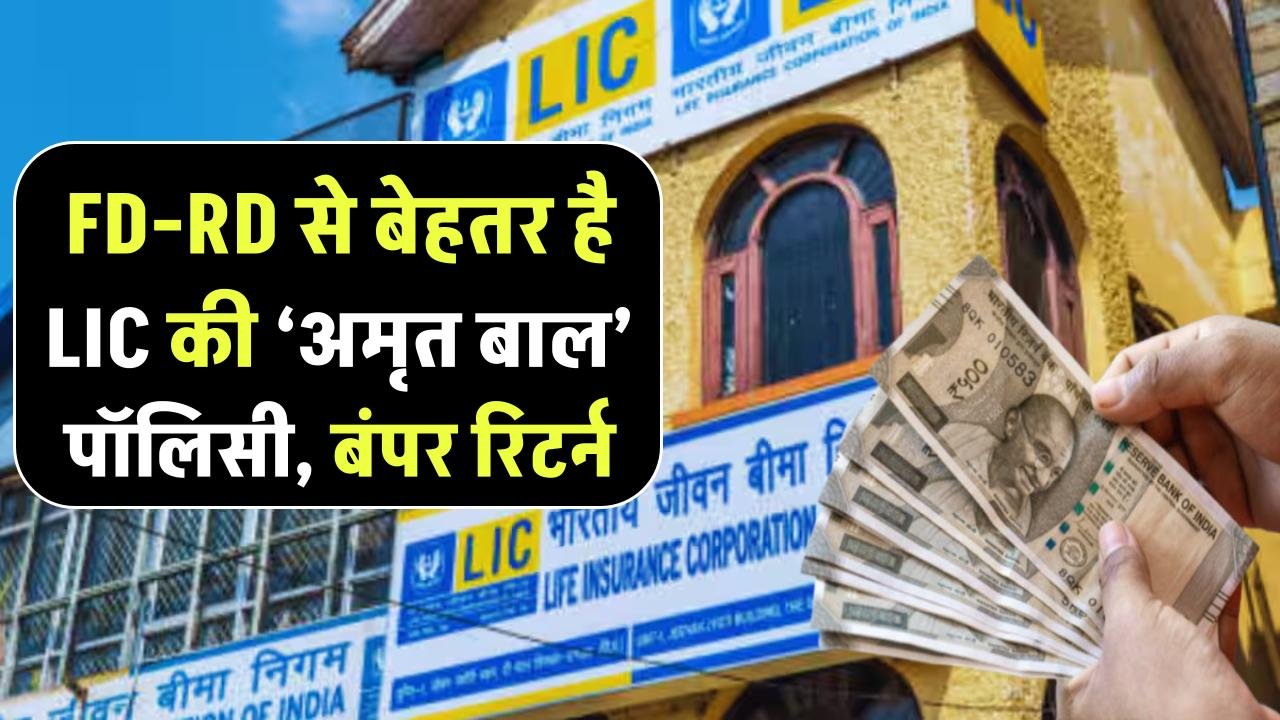 FD-RD से बेहतर निकली LIC की ये पॉलिसी! ‘अमृत बाल’ प्लान से मिलेगा बंपर रिटर्न, बचपन से निवेश कर बनाएं बड़ा फंड